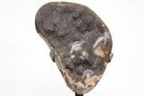 Sparkling, Druzy Amethyst Geode Section on Metal Stand #209199-1